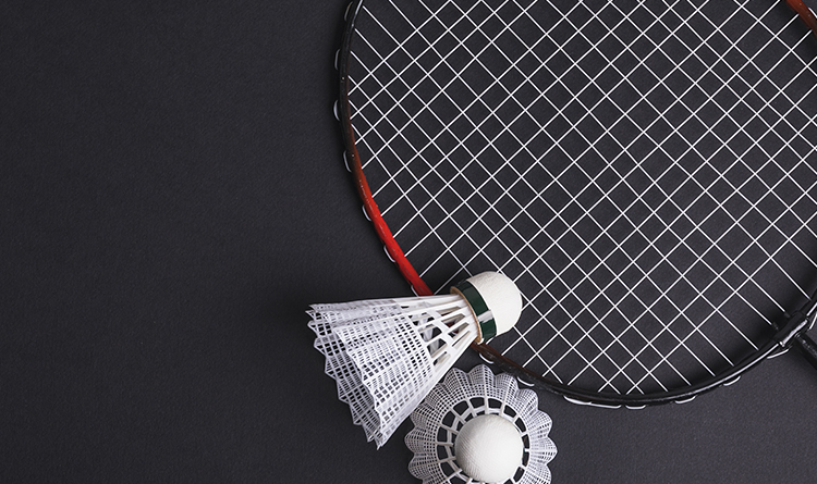 Badminton equipment