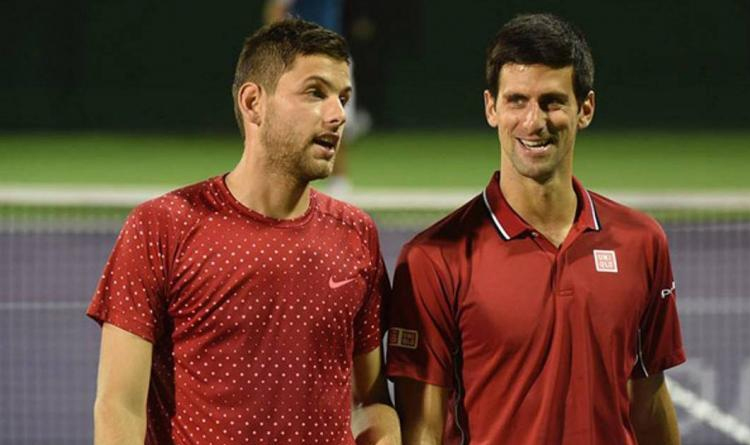 krajinovic and djokovic