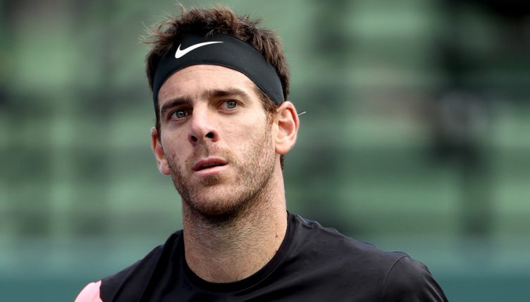 juan martin del potro