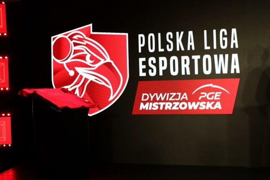 Polska Grupa Energetyczna (PGE)