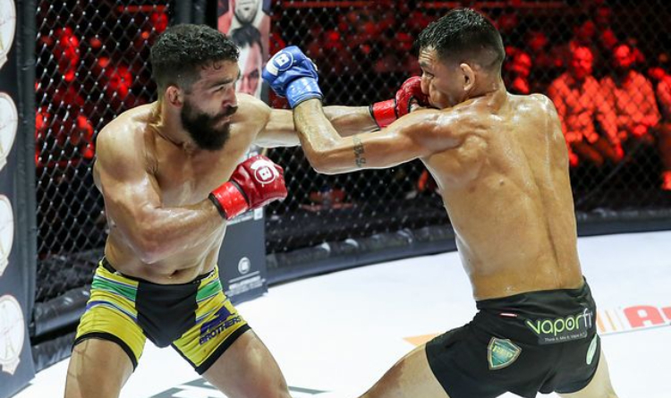 Freire and Sanchez fighting in the cage