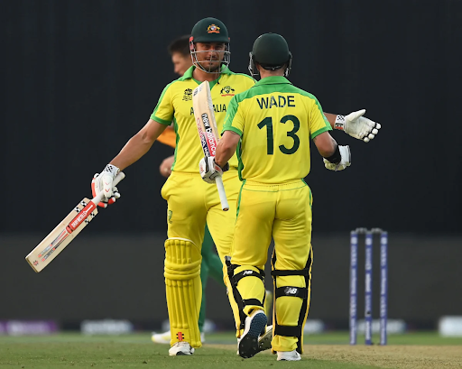 Marcus Stoinis (left) and Matthew Wade