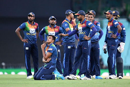 Losses in New Zealand should be blamed to the cricketers and coaches